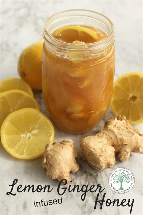 Honey Ginger Simple Syrup Artofit