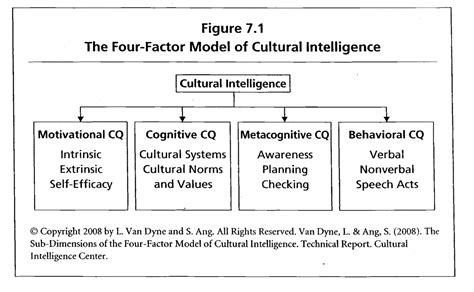 Cultural Intelligence About Face