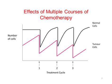 Week 8 Anticancer Chemotherapy Flashcards Quizlet