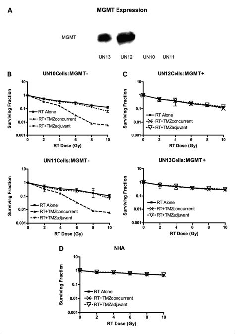 Association Of Mgmt Protein Expression With Response To Radiation And