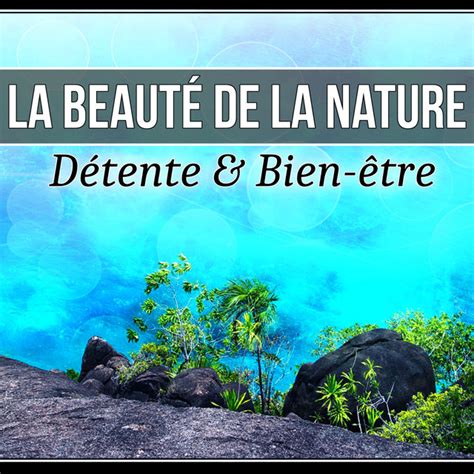 La Beaut De La Nature D Tente Bien Tre Musique Calme Et Douce