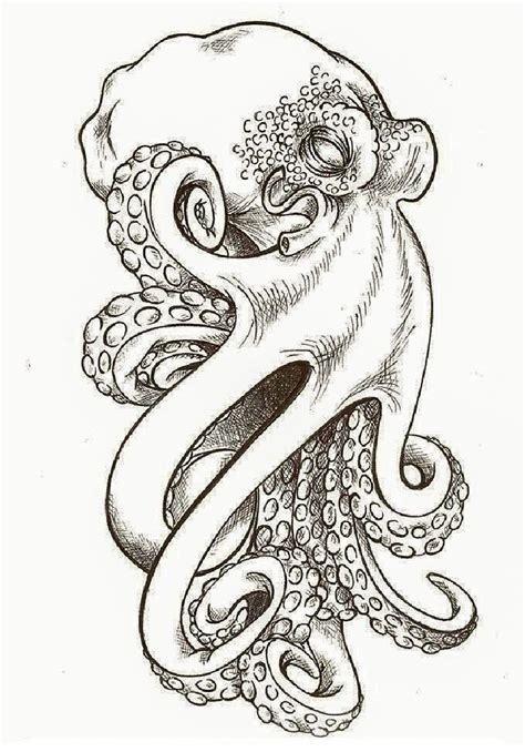 Octopus Drawings Tattoos