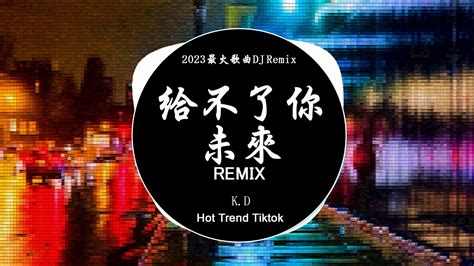 K D Dj Remix Hot Tiktok Douyin Baozhang Remix