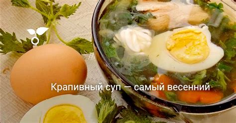 Крапивный суп — самый весенний. Пошаговый рецепт с фото — Ботаничка