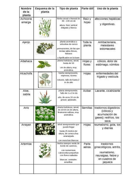 Ficha Interactiva De Plantas Medicinales Para Cuarto De Primaria The