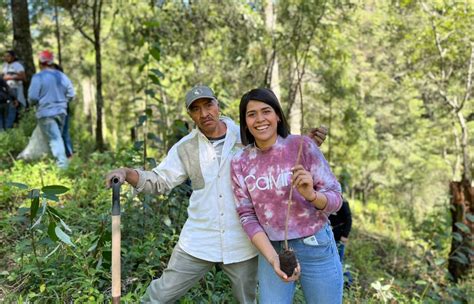 El Amor Por La Naturaleza Es Una Realidad En Tlaxco Mil Rboles M S