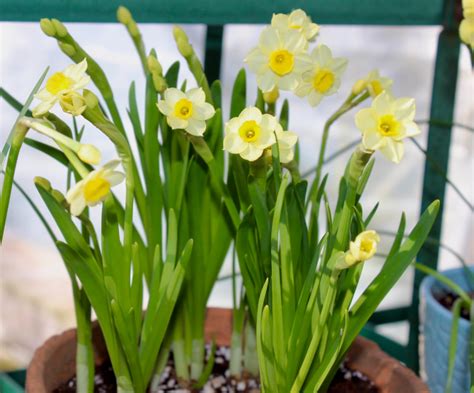April