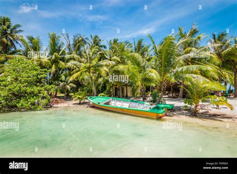 Beautiful Tropical Destination With Palm Trees And An Empty Boat Docked