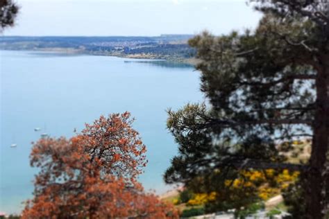 Тбилисское море (водохранилище) пляжи, что посмотреть рядом