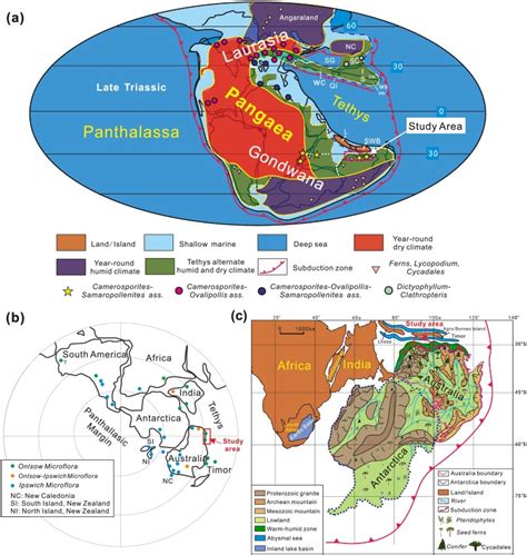 Solved Model Simulations Of Climate On Pangaea Indicate That The