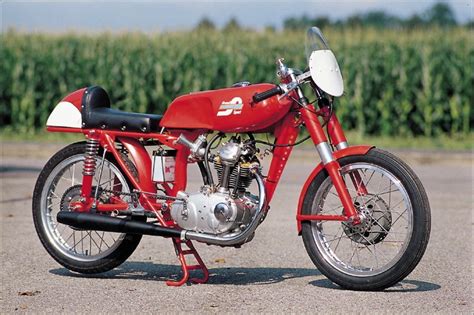 Ducati 100 Gran Sport 1955 Ducati Cuccioli