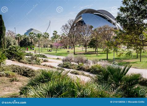 Relaxing In The Turia Gardens In Valencia Spain View Of People