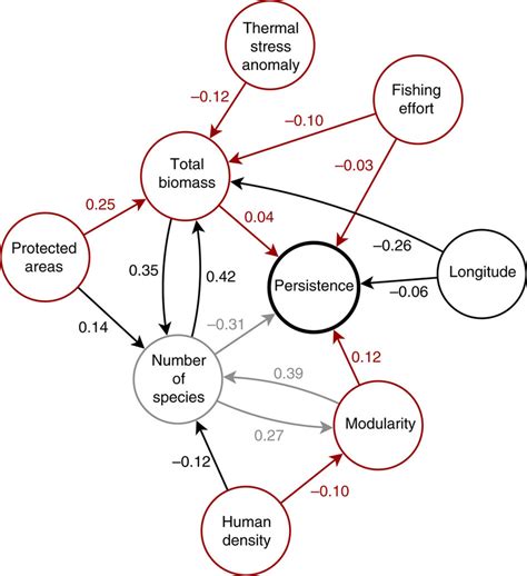 Network Of Statistical Associations Between Variables Each Link Download Scientific Diagram