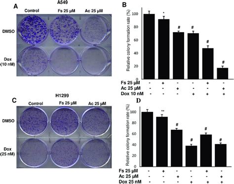 Effect Of Combination Of Fisetin And Acacetin With Doxorubicin On The