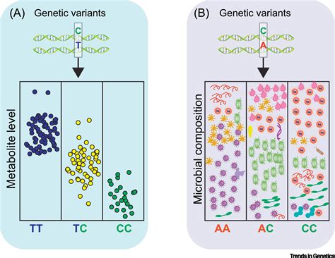 A Multi Omics Perspective Of Quantitative Trait Loci In Precision