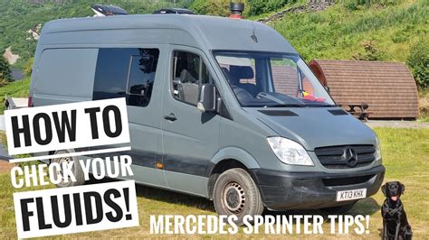 How To Check ALL FLUIDS On A Mercedes Sprinter YouTube