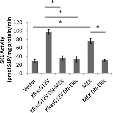 Activation Of SK1 By K RasG12V Is Dependent On ERK HEK293T Cells Were