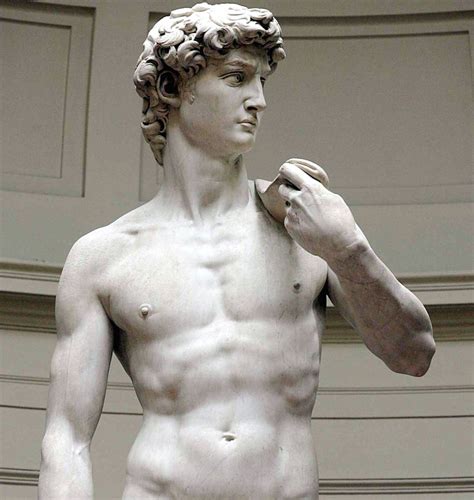 The David By Michelangelo Information