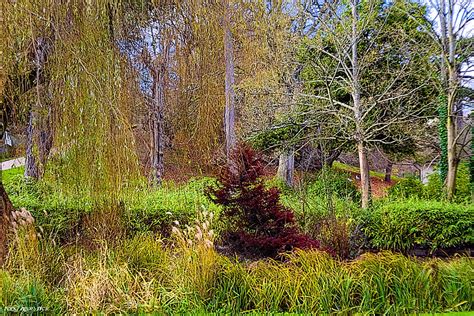 A Selection Of Autumn Colours Hastings Meyer Optik Mm Flickr