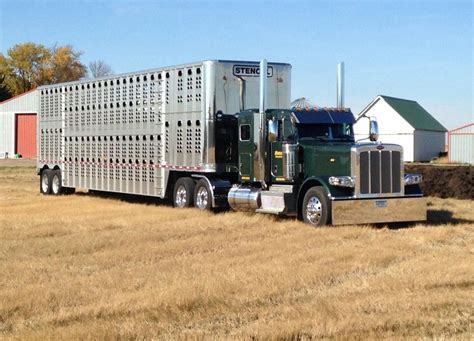 Peterbilt Custom 389 Bull Hauler Bull Haulers Cowhaulers And Livestock