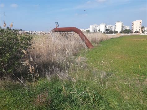 Confagricoltura Puglia Bonifiche Una Situazione Drammatica Terra E Vita