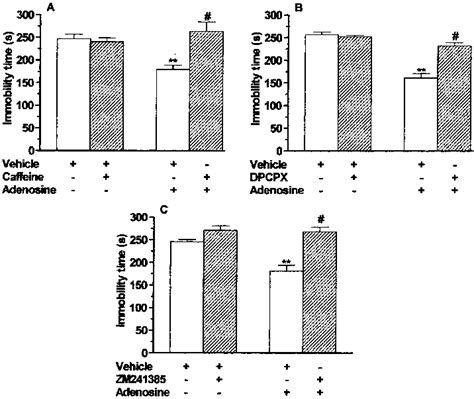 Effect Of The Pretreatment Of Mice With Caffeine 3 Mg Kg I P Panel