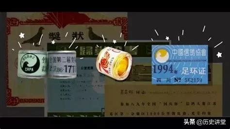 和平的象徵意義——如何在天安門廣場放飛上萬隻白鴿？ 每日頭條