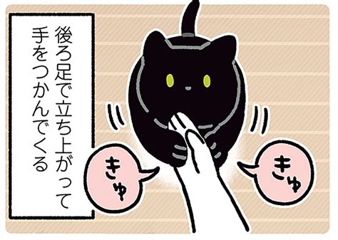 「ねえねえ」のジェスチャー、どこで覚えた？黒猫の気の引き方がかわいい！／黒猫ろんと暮らしたら4（1） レタスクラブ