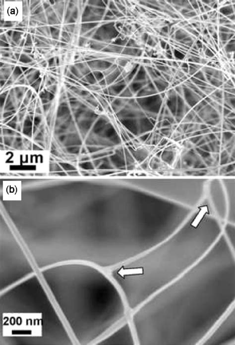 SEM Images Of SnO 2 Nanobelts Prepared At 950C Temperature A A