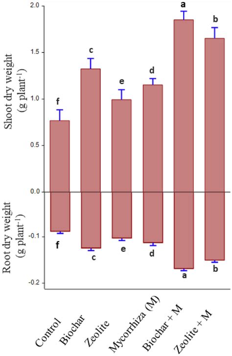 Effects Of Biochar Zeolite And Mycorrhiza Inoculation On Soil