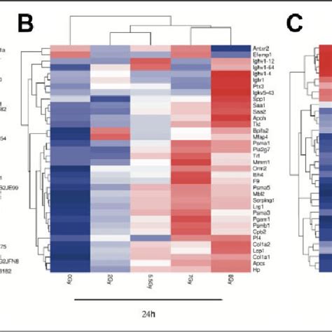 Heat Map Showing Normalized Protein Abundance Protein Clustering And Download Scientific