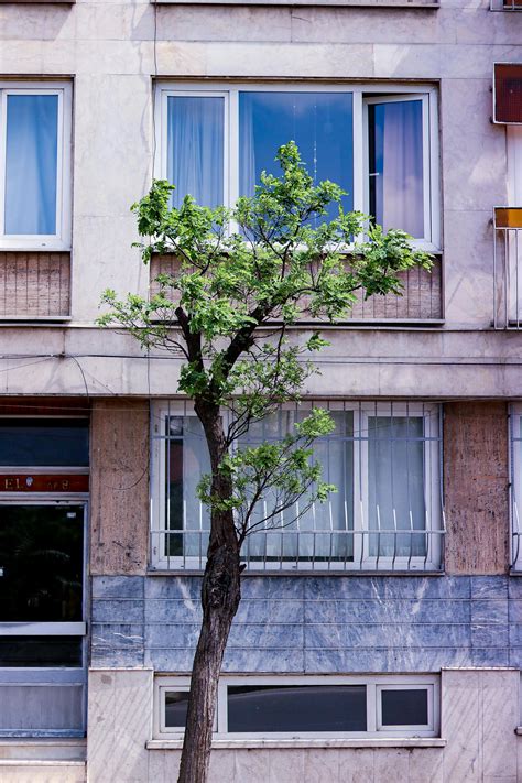 Mural on the Side of a Block of FlatsFree Stock Photo