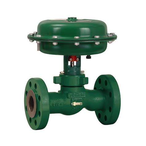 Fisher D Control Valve Vibtis