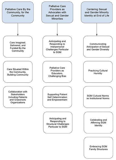 Applied Patient Level Palliative Care Interventions Designed To Meet The Needs Of Sexual And