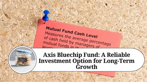 Axis Bluechip Fund A Reliable Investment Option For Long Term Growth