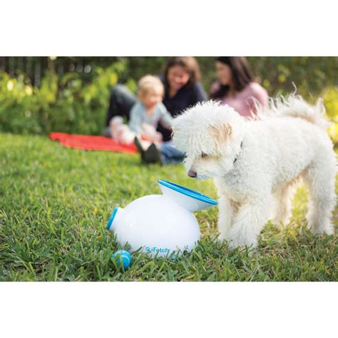 iFetch, the new breed of fetch toys have arrived in Australia