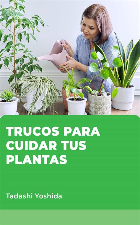 Resumen de 34 artículos como cuidar las plantas de exterior