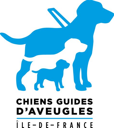 Les Chiens Guides D Aveugles D Ile De France Ffac