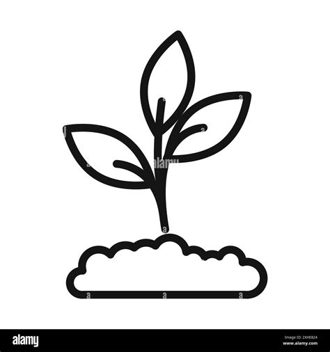 Seedling In Soil Icon Vector Symbol Or Sign Set Collection In Black And