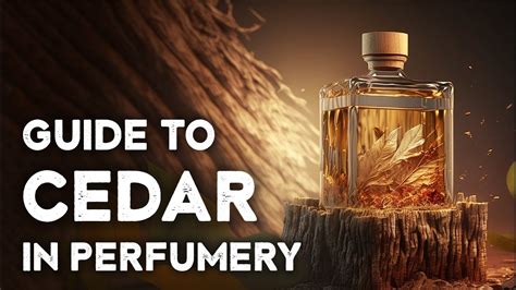 Cedarwood Notes In Perfumery A Perfumer S Guide Youtube