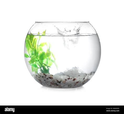 Splash Of Water In Round Fish Bowl With Decorative Plant And Pebbles On