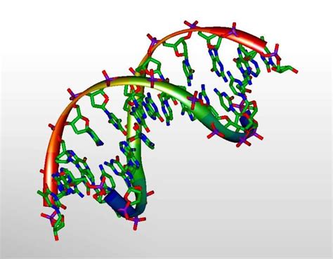 MaisConhecer O Primeiro DNA Humano Antigo Do Sudao Em Todo O Genoma