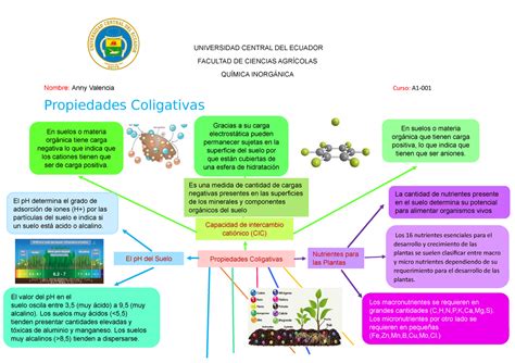 Mapa Mental Quimica Inorganica Trabajo Universidad Central Del The