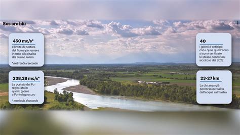 Clima Pazzo Il Po Presenta Il Conto E Lacqua Salmastra Risale Ormai