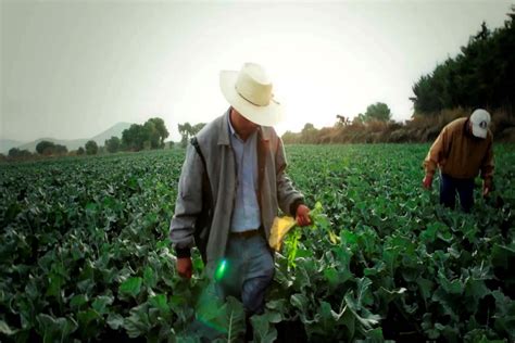 Conoce Lo Que Hace México En La Ocde Secretaría De Agricultura Y Desarrollo Rural Gobierno