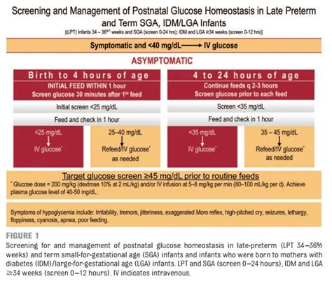 Neonatal Hypoglycemia