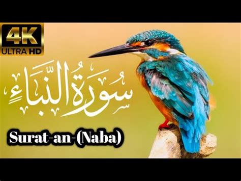 Surat An naba Surat ul qalam Tilawat Quran پیاری آواز Best voice