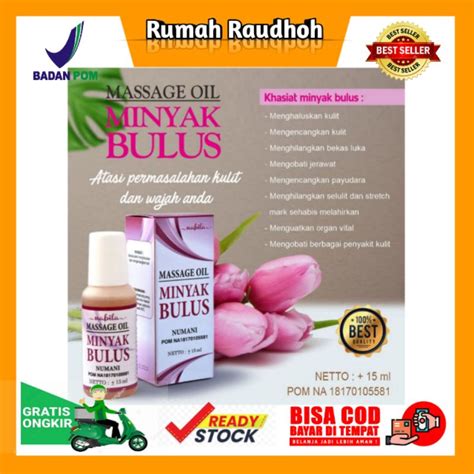 Jual MINYAK BULUS PLUS HERBAL NABILA ORIGINAL 15 ML MASSAGE OIL