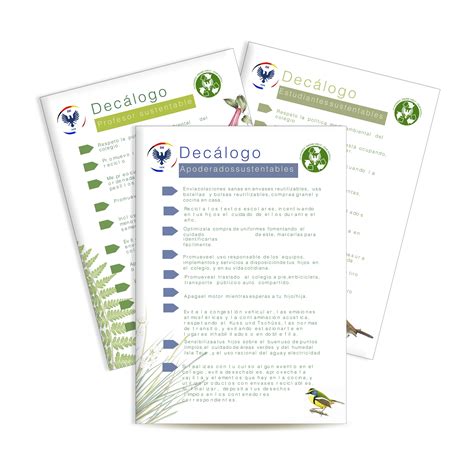 Decálogos ambientales: pequeñas acciones generan grandes cambios