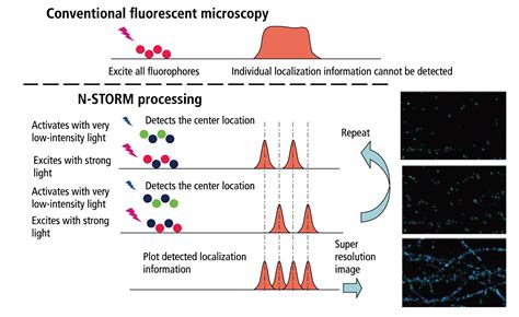 Stochastic Optical Reconstruction Microscopy Storm For Unlocking The